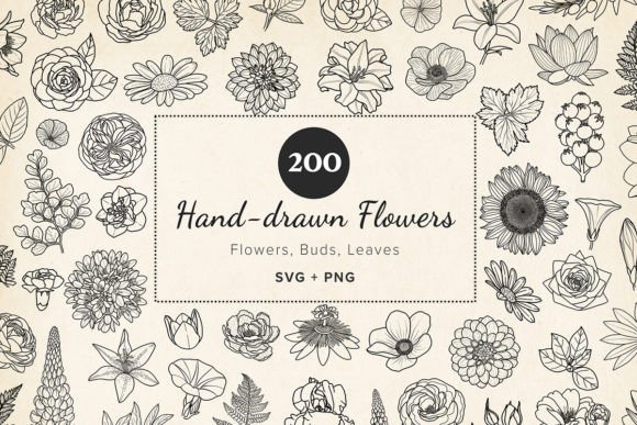 200 Hand-drawn Flower Leaf SVG Clipart: Graphics & Illustrations for Local Branding