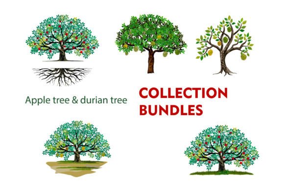 Apple Tree & Durians Tree Bundles: Graphics for Editorial Illustrations