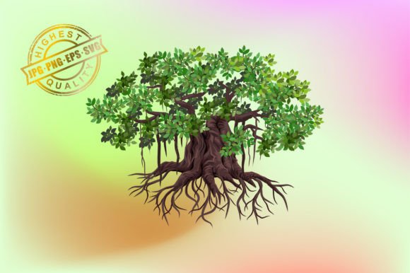 Banyan Tree and Roots