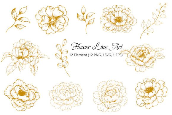Gold Botanical Line Art: Elegant Graphics & Illustrations for Real Projects