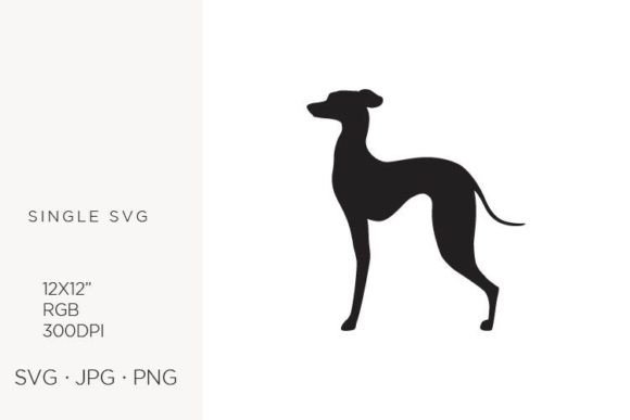 Pet Graphics & Illustrations for Real Publishing