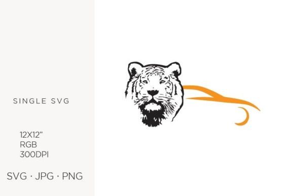 Tiger and Car Vector Illustration: Graphics & Illustrations